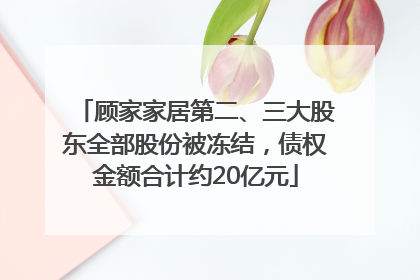 顾家家居第二、三大股东全部股份被冻结，债权金额合计约20亿元