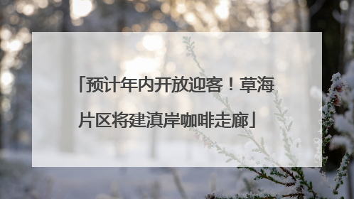 预计年内开放迎客！草海片区将建滇岸咖啡走廊