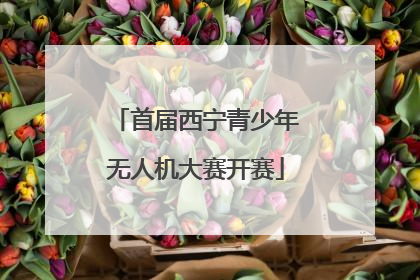 首届西宁青少年无人机大赛开赛