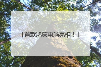 首款鸿蒙电脑亮相！