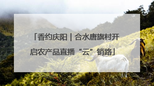 香约庆阳｜合水唐旗村开启农产品直播“云”销路