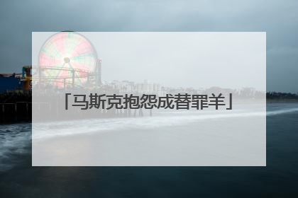 马斯克抱怨成替罪羊
