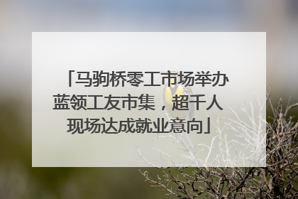马驹桥零工市场举办蓝领工友市集，超千人现场达成就业意向