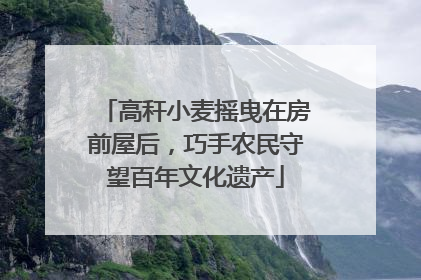 高秆小麦摇曳在房前屋后，巧手农民守望百年文化遗产