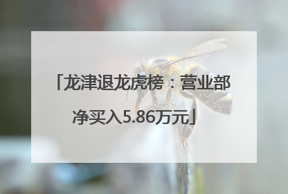 龙津退龙虎榜：营业部净买入5.86万元