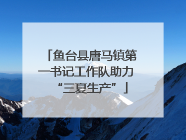 鱼台县唐马镇第一书记工作队助力“三夏生产”