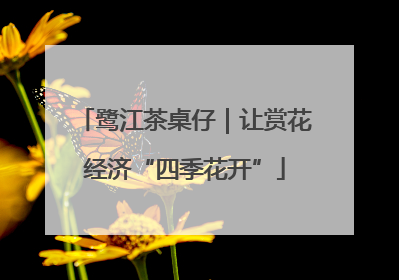 鹭江茶桌仔｜让赏花经济“四季花开”