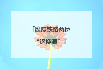 鹰厦铁路两桥“钢换混”