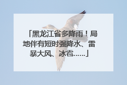 黑龙江省多降雨！局地伴有短时强降水、雷暴大风、冰雹……