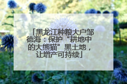 黑龙江种粮大户邹德海：保护“耕地中的大熊猫”黑土地，让增产可持续
