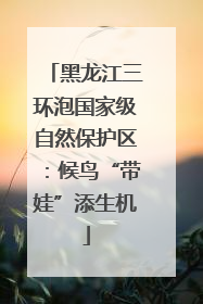 黑龙江三环泡国家级自然保护区：候鸟“带娃”添生机