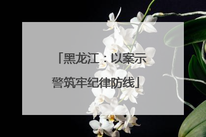 黑龙江：以案示警筑牢纪律防线