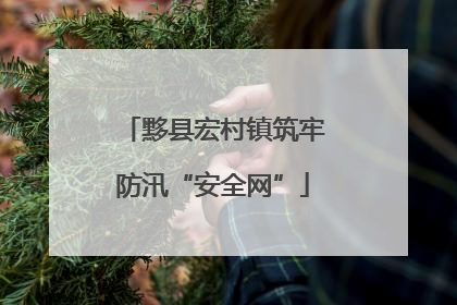 黟县宏村镇筑牢防汛“安全网”