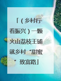 （乡村行·看振兴）一颗火山荔枝王铺就乡村“甜蜜”致富路