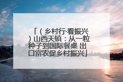 （乡村行·看振兴）山西天镇：从一粒种子到国际餐桌 出口富农促乡村振兴