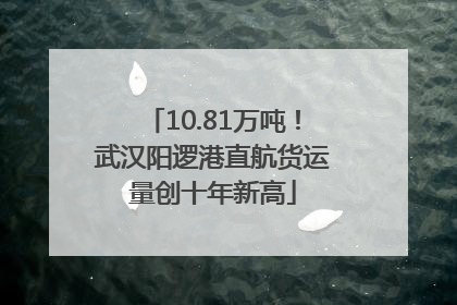 10.81万吨！武汉阳逻港直航货运量创十年新高