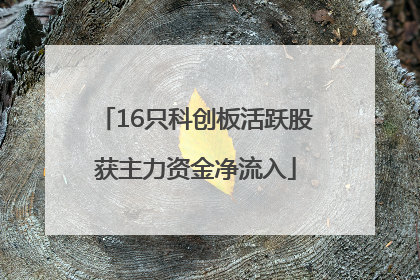 16只科创板活跃股获主力资金净流入