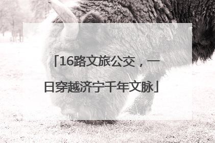 16路文旅公交，一日穿越济宁千年文脉