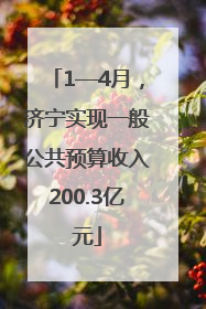 1—4月，济宁实现一般公共预算收入200.3亿元