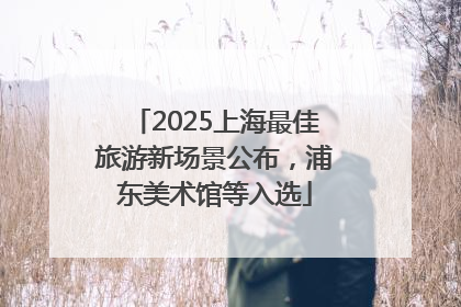 2025上海最佳旅游新场景公布，浦东美术馆等入选