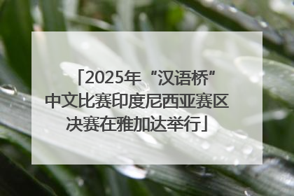 2025年“汉语桥”中文比赛印度尼西亚赛区决赛在雅加达举行