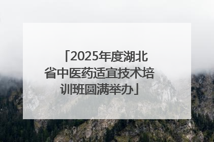2025年度湖北省中医药适宜技术培训班圆满举办