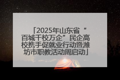 2025年山东省“百城千校万企”民企高校携手促就业行动暨潍坊市职教活动周启动