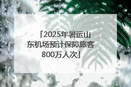 2025年暑运山东机场预计保障旅客800万人次