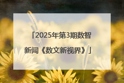 2025年第3期数智新闻《数文新视界》