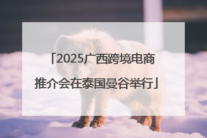 2025广西跨境电商推介会在泰国曼谷举行