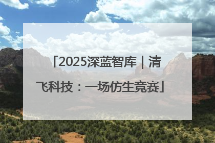 2025深蓝智库｜清飞科技：一场仿生竞赛