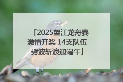 2025望江龙舟赛激情开桨 14支队伍劈波斩浪迎端午