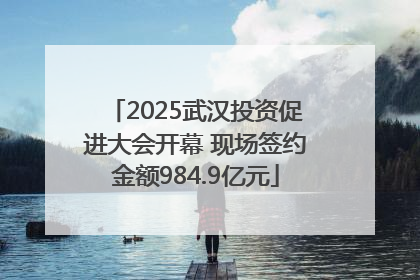 2025武汉投资促进大会开幕 现场签约金额984.9亿元