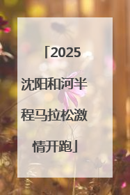 2025沈阳和河半程马拉松激情开跑
