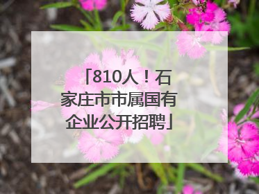 810人！石家庄市市属国有企业公开招聘
