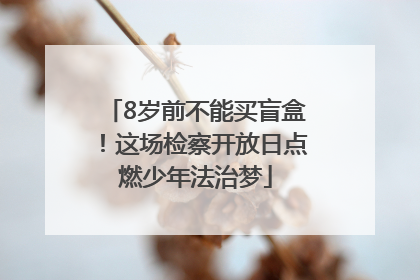 8岁前不能买盲盒！这场检察开放日点燃少年法治梦