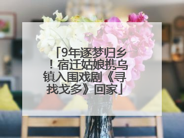 9年逐梦归乡！宿迁姑娘携乌镇入围戏剧《寻找戈多》回家