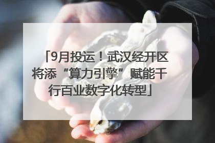 9月投运！武汉经开区将添“算力引擎”赋能千行百业数字化转型
