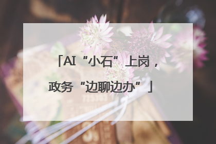 AI“小石”上岗，政务“边聊边办”