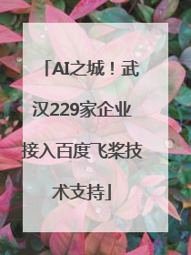 AI之城！武汉229家企业接入百度飞桨技术支持