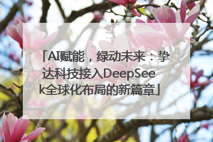 AI赋能，绿动未来：挚达科技接入DeepSeek全球化布局的新篇章
